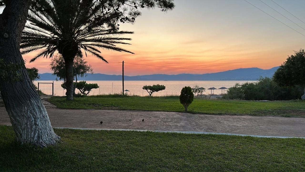 Bouros Seaview Farm Villa Karystos  Ngoại thất bức ảnh
